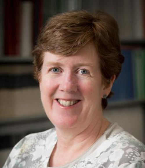 MSU Professor Anne Marie Ryan wins Losey Award for Research Excellence