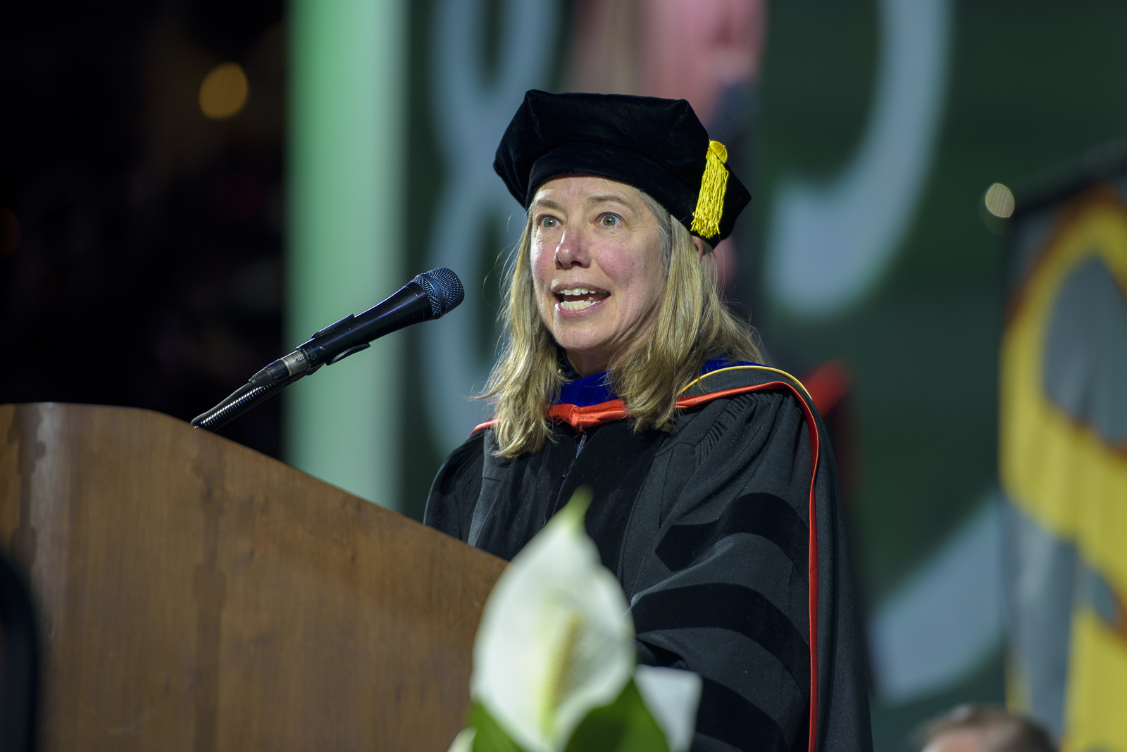 professor stacy dickert conlin