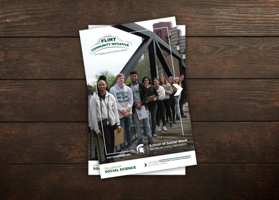 Flint Community Initiative Brochure