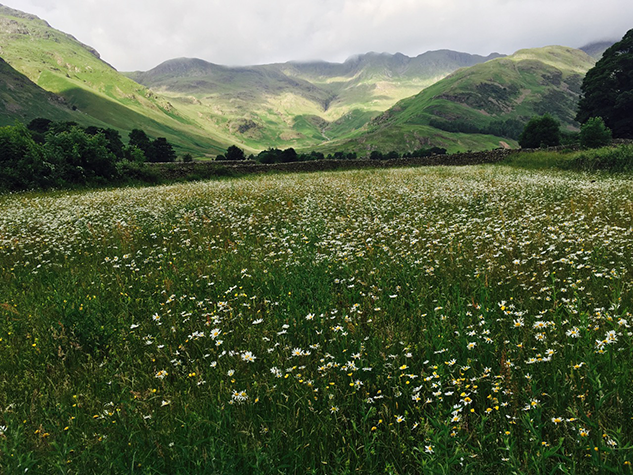 Lake District