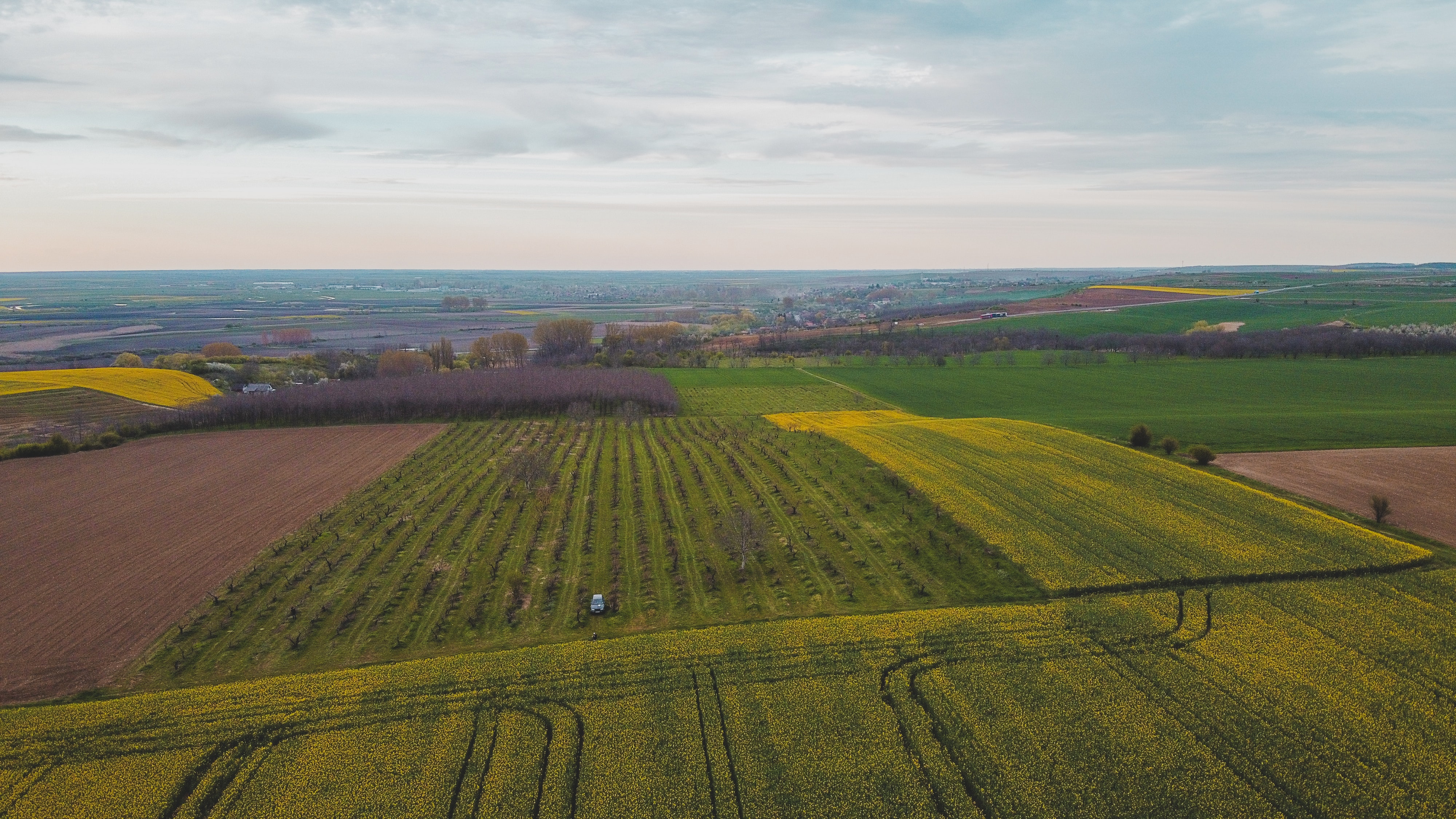 Shifting policies, shifting crops: MSU research to investigate agricultural innovation in post-socialist Romania under new NASA grant